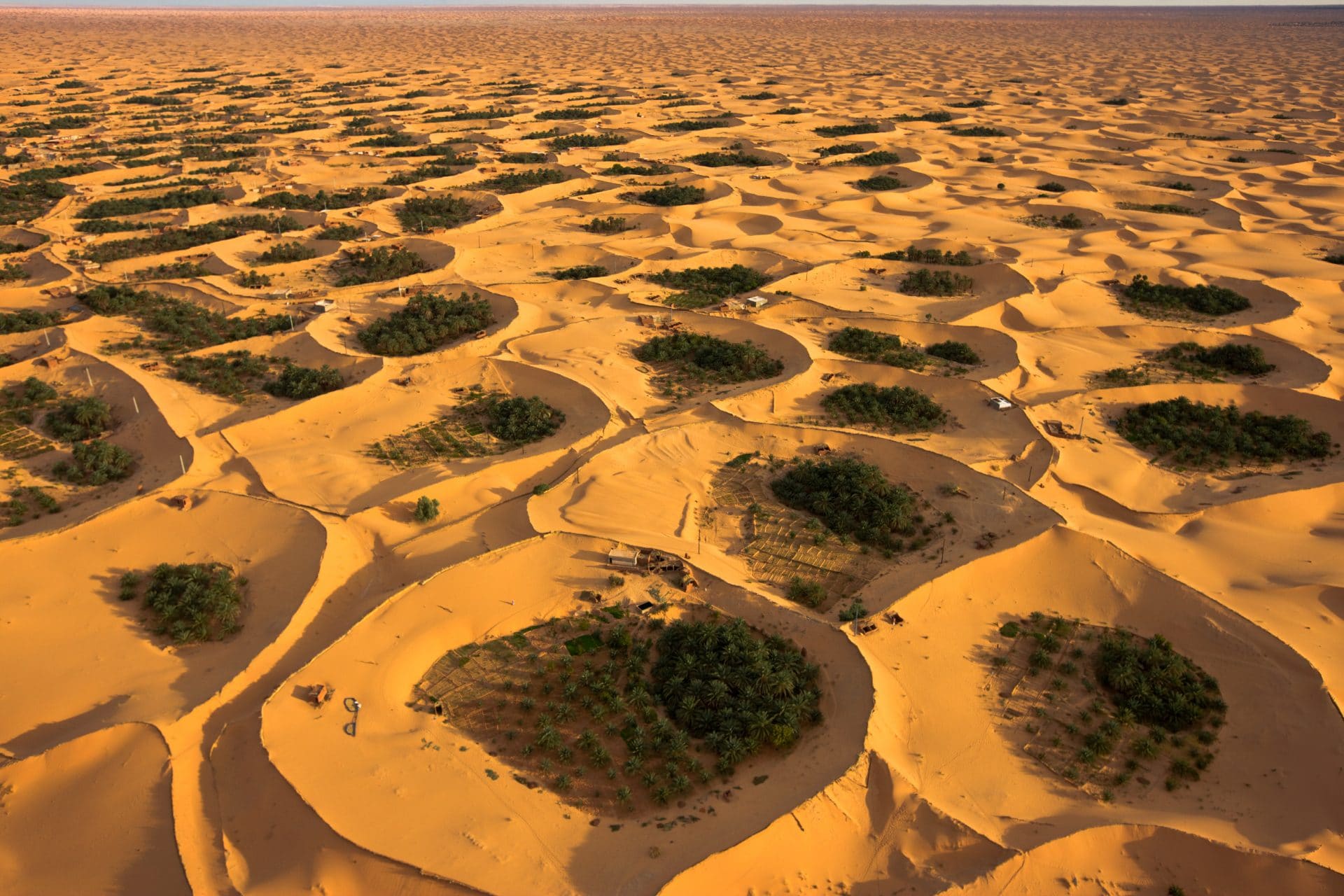 Seeking an Oasis in a Data Desert